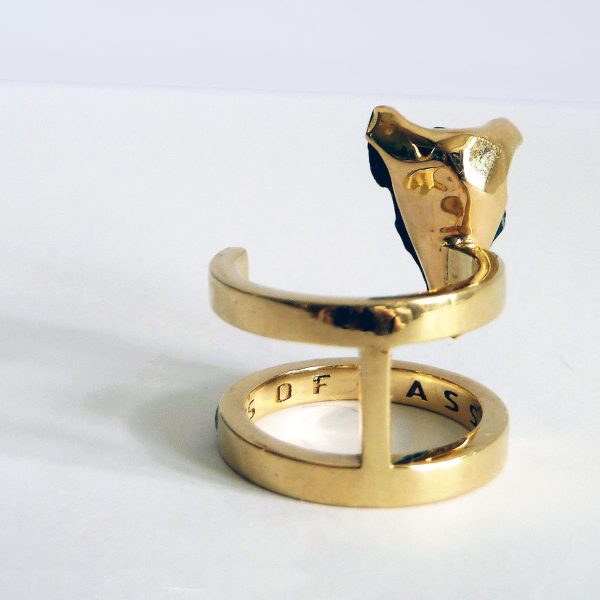 Bulls´s head_espalda